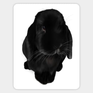 Oreo - Bunny Magnet